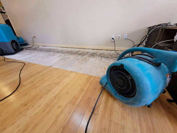Professional Structural Drying technician working in Granville, TN